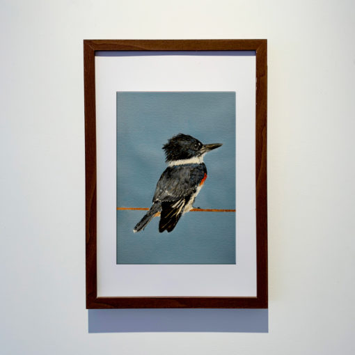 American King Fisher